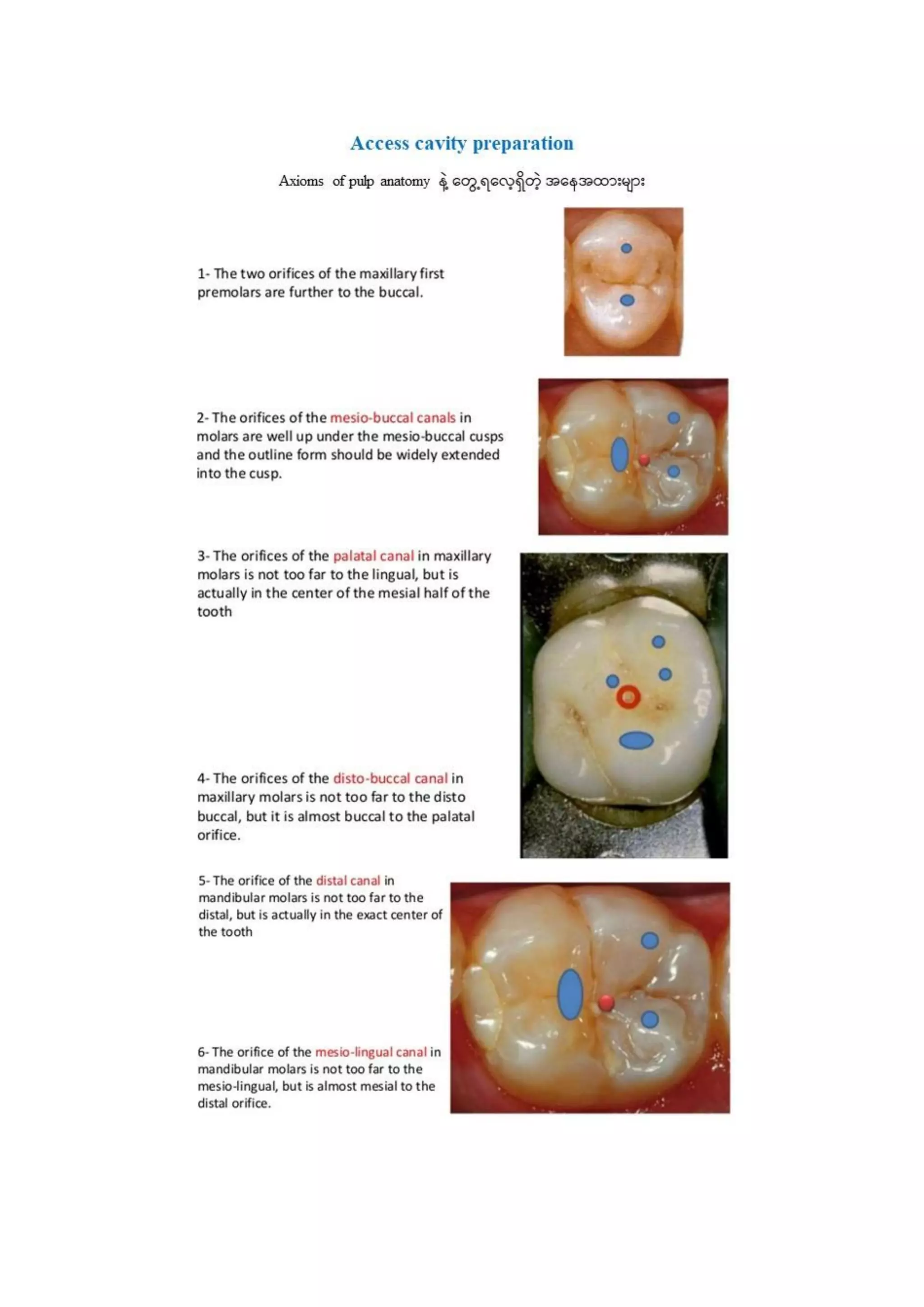 Endo notes (revised18) | PDF