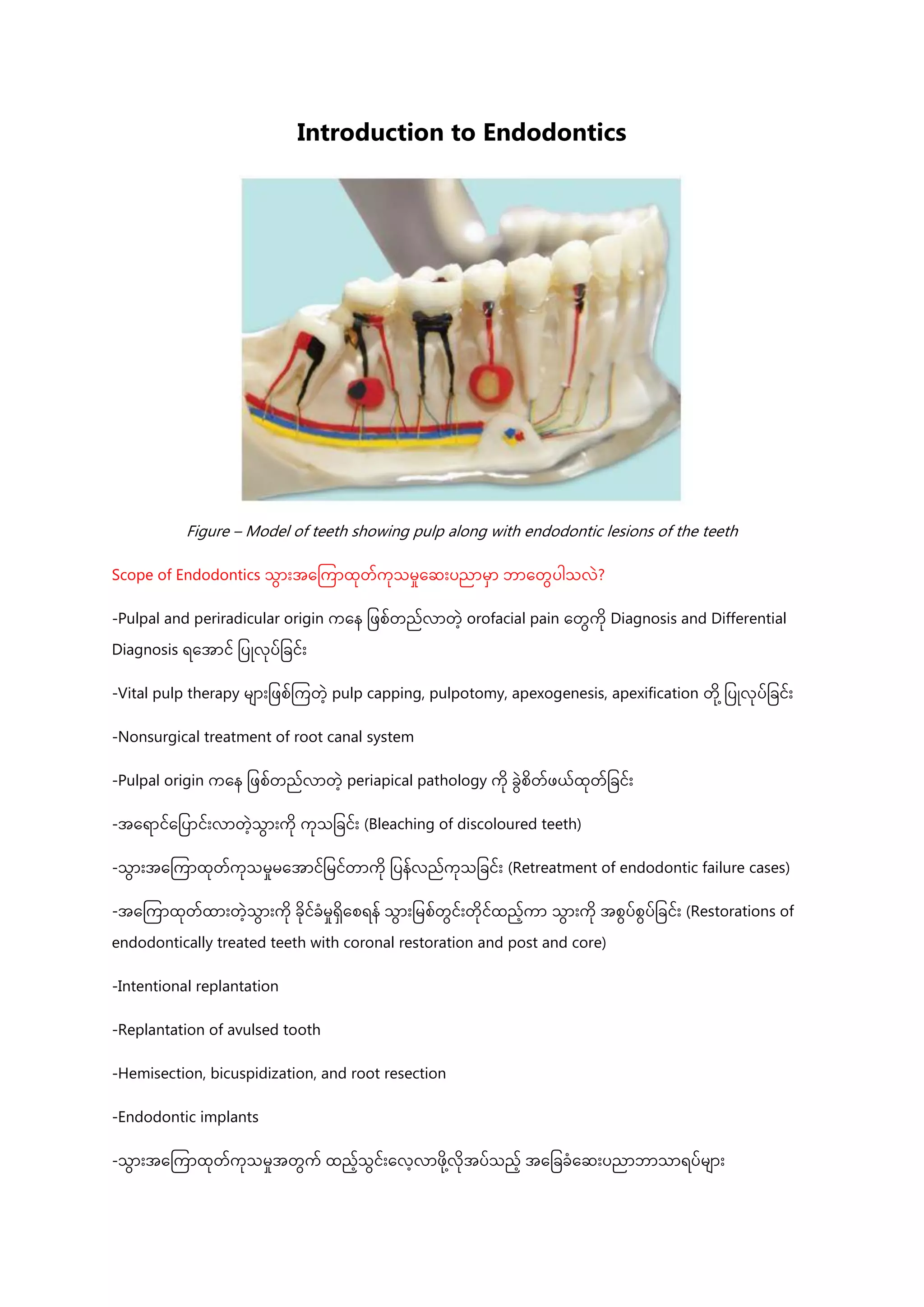 Endo notes (revised18) | PDF