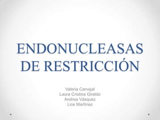 ENDONUCLEASAS
DE RESTRICCIÓN
Valeria Carvajal
Laura Cristina Giraldo
Andrea Vásquez
Lice Martínez

 