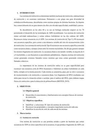 1. INTRODUCCION
Las enzimas de restricción se denominan también nucleasas de restricción, endonucleasas
de restricción y en ocasiones restrictasas. Pertenecen a este grupo una gran diversidad de
endodesoxirribonluceasas, descubiertas como enzimas propias de distintas bacterias. Se dispone
hoy comercialmente de un gran número de ellas con elevada especificidad, estabilidad y pureza.
Se descubrieron en los años 60 y su uso en biología molecular empezó en los 70
permitiendo el desarrollo de las tecnologías de ADN recombinante. Las enzimas de restricción
tienen actividad endonucleasa y cortan enlaces fosfodiéster en las dos cadenas del ADN.
Reconocen ciertas secuencias en el ADN. Las enzimas de restricción de Tipo I y III reconocen
una secuencia específica, pero cortan a una distancia variable del sitio de reconocimiento (sitio
de restricción). Las enzimas de restricción de Tipo II reconocen una secuencia específica conocida
como secuencia diana y siempre cortan entre los mismos nucleótidos. De ahí que generen siempre
los mismos fragmentos de restricción. La secuencia diana es de tamaño variable, la mayoría de 4
y 6 nucleótidos, y con frecuencia es parcialmente palindrómica. Algunas enzimas de restricción
cortan generando extremos llamados romos mientras que otras cortan generando extremos
llamados cohesivos.
La importancia de las enzimas de restricción radica en su gran especificidad para
reconocer una secuencia corta de DNA bicatenario e hidrolizar un enlace fosfodiéster en cada
hebra, siempre en la misma posición. Cada enzima se caracteriza, pues, por su sitio o secuencia
de reconocimiento o de restricción, o secuencia diana. Los fragmentos de DNA resultantes son
útiles para iniciar la clonación celular o acelular, para el análisis del DNA, para elaborar mapas
físicos de restricción o para la detección de polimorfismos (BIOTED, 2019).
2. OBJETIVOS
1.1 Objetivo general
• Desarrollar el conocimiento y familiarizarse con conceptos básicos de enzimas
de restricción.
1.2 Objetivos específicos
• Identificar y seleccionas 30 tipos de enzimas de restricción
• Reconocer sus propiedades y conceptos importantes acerca de cada una.
• Identificar la sección de corte de cada una de las enzimas
3. Marco teorico
3.1 Enzimas de restricción
Una enzima de restricción es una proteína aislada a partir de bacterias que cortan
secuencias de ADN en sitios específicos de la secuencia, lo que produce fragmentos de ADN con
 