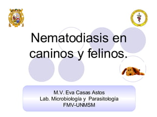 Nematodiasis en caninos y felinos. M.V. Eva Casas Astos Lab. Microbiología y  Parasitología FMV-UNMSM 