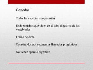 5
Cestodos

Todas las especies son parasitas

Endoparásitos que viven en el tubo digestivo de los
vertebrados

Forma de cinta

Constituidos por segmentos llamados proglotidos

No tienen aparato digestivo
 
