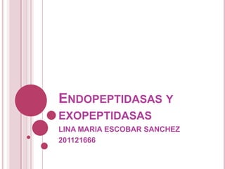 ENDOPEPTIDASAS Y
EXOPEPTIDASAS
LINA MARIA ESCOBAR SANCHEZ
201121666

 