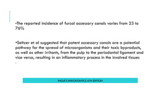 •The reported incidence of furcal accessory canals varies from 23 to
76%
•Seltzer et al suggested that patent accessory canals are a potential
pathway for the spread of microorganisms and their toxic byproducts,
as well as other irritants, from the pulp to the periodontal ligament and
vice versa, resulting in an inflammatory process in the involved tissues
`
INGLE’S ENDODONTICS 6TH EDITION
 
