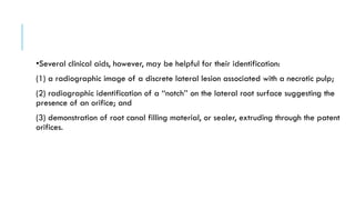 •Several clinical aids, however, may be helpful for their identification:
(1) a radiographic image of a discrete lateral lesion associated with a necrotic pulp;
(2) radiographic identification of a ‘‘notch’’ on the lateral root surface suggesting the
presence of an orifice; and
(3) demonstration of root canal filling material, or sealer, extruding through the patent
orifices.
 