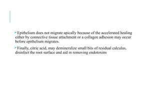 Epithelium does not migrate apically because of the accelerated healing
either by connective tissue attachment or a collagen adhesion may occur
before epithelium migrates.
Finally, citric acid, may demineralize small bits of residual calculus,
disinfect the root surface and aid in removing endotoxins
 