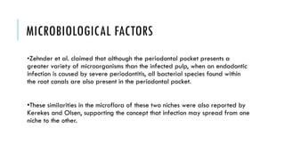 MICROBIOLOGICAL FACTORS
•Zehnder et al. claimed that although the periodontal pocket presents a
greater variety of microorganisms than the infected pulp, when an endodontic
infection is caused by severe periodontitis, all bacterial species found within
the root canals are also present in the periodontal pocket.
•These similarities in the microflora of these two niches were also reported by
Kerekes and Olsen, supporting the concept that infection may spread from one
niche to the other.
 
