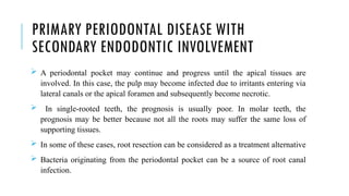 PRIMARY PERIODONTAL DISEASE WITH
SECONDARY ENDODONTIC INVOLVEMENT
 A periodontal pocket may continue and progress until the apical tissues are
involved. In this case, the pulp may become infected due to irritants entering via
lateral canals or the apical foramen and subsequently become necrotic.
 In single-rooted teeth, the prognosis is usually poor. In molar teeth, the
prognosis may be better because not all the roots may suffer the same loss of
supporting tissues.
 In some of these cases, root resection can be considered as a treatment alternative
 Bacteria originating from the periodontal pocket can be a source of root canal
infection.
 