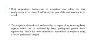  Root amputation, hemisection or separation may allow the root
configuration to be changed sufficiently for part of the root structure to be
saved
 The prognosis of an affected tooth can also be improved by increasing bony
support which can be achieved by bone grafting and guided tissue
regeneration. This is due to the most critical determinant of prognosis being
a loss of periodontal support
 