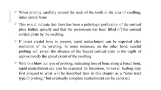  When probing carefully around the neck of the tooth in the area of swelling,
intact crestal bone
 This would indicate that there has been a pathologic perforation of the cortical
plate farther apically and that the periosteum has been lifted off the coronal
cortical plate by the swelling.
 If intact crestal bone is present, rapid reattachment can be expected after
resolution of the swelling. In some instances, on the other hand, careful
probing will reveal the absence of the buccal cortical plate to the depth of
approximately the apical extent of the swelling.
 With this blow out type of probing, indicating loss of bone along a broad front,
rapid reattachment can also be expected. In furcations, however, healing may
first proceed to what will be described later in this chapter as a "sinus tract
type of probing," but eventually complete reattachment can be expected.
 