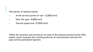 •The density of dentinal tubules
- At the cervical portion of root- 15,000/mm2
- Near the apex- 8,000/mm2
- Towards pulpal end- 57,000/mm2
•When the cementum and enamel do not meet at the cemento-enamel junction (CEJ)
tubules remain exposed, thus creating pathways of communication between the
pulp and the periodontal ligament.
 