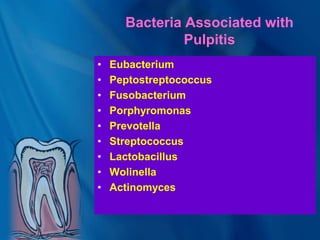 Bacteria Associated with
Pulpitis
• Eubacterium
• Peptostreptococcus
• Fusobacterium
• Porphyromonas
• Prevotella
• Streptococcus
• Lactobacillus
• Wolinella
• Actinomyces
 