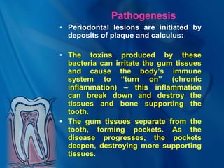 Pathogenesis
• Periodontal lesions are initiated by
deposits of plaque and calculus:
• The toxins produced by these
bacteria can irritate the gum tissues
and cause the body’s immune
system to “turn on” (chronic
inflammation) – this inflammation
can break down and destroy the
tissues and bone supporting the
tooth.
• The gum tissues separate from the
tooth, forming pockets. As the
disease progresses, the pockets
deepen, destroying more supporting
tissues.
 