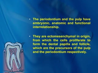 • The periodontium and the pulp have
embryonic, anatomic and functional
interrelationship.
• They are ectomesenchymal in origin,
from which the cells proliferate to
form the dental papilla and follicle,
which are the precursors of the pulp
and the periodontium respectively.
 