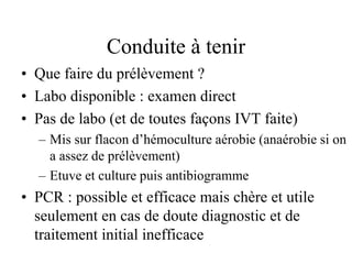 Conduite à tenir
• Que faire du prélèvement ?
• Labo disponible : examen direct
• Pas de labo (et de toutes façons IVT faite)
  – Mis sur flacon d’hémoculture aérobie (anaérobie si on
    a assez de prélèvement)
  – Etuve et culture puis antibiogramme
• PCR : possible et efficace mais chère et utile
  seulement en cas de doute diagnostic et de
  traitement initial inefficace
 