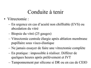 Conduite à tenir
• Vitrectomie :
  – En urgence en cas d’acuité non chiffrable (EVS) ou
    abcedation du vitré
  – Biopsie du vitré (25 gauges)
  – Vitrectomie centrale élargie après ablation membrane
    pupillaire sous visco-élastique
  – Ne jamais essayer de faire une vitrectomie complète
  – En pratique : impossible à réaliser. Différer de
    quelques heures après prélèvement et IVT
  – Tamponnement par silicone si DR ou en cas de CEIO
 