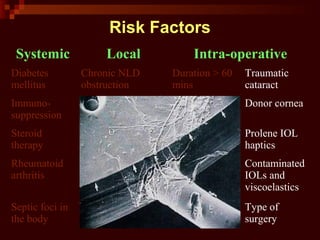 Risk Factors
Systemic Local Intra-operative
Diabetes
mellitus
Chronic NLD
obstruction
Duration > 60
mins
Traumatic
cataract
Immuno-
suppression
Blepharitis,
canaculitis
Poor wound
integrity
Donor cornea
Steroid
therapy
Conjunctivitis Suture
dehiscence
Prolene IOL
haptics
Rheumatoid
arthritis
Contact lens wear Retained lens
matter
Contaminated
IOLs and
viscoelastics
Septic foci in
the body
Ocular prosthesis
in other eye
Use of many
instruments
Type of
surgery
 