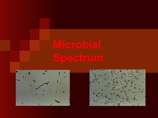 Microbial
Spectrum
 