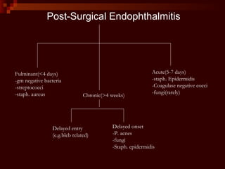 Post-Surgical Endophthalmitis
Fulminant(<4 days)
-gm negative bacteria
-streptococci
-staph. aureus
Acute(5-7 days)
-staph. Epidermidis
-Coagulase negative cocci
-fungi(rarely)
Delayed entry
(e.g.bleb related)
Delayed onset
-P. acnes
-fungi
-Staph. epidermidis
Chronic(>4 weeks)
 