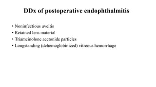 DDx of postoperative endophthalmitis
• Noninfectious uveitis
• Retained lens material
• Triamcinolone acetonide particles
• Longstanding (dehemoglobinized) vitreous hemorrhage
 