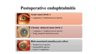 Postoperative endophtalmitis
Acute onset (6wk>)
• Coagulase (-) staphylococcus species
Chronic -delayed onset (6wk<)
• Coagulase (-) staphylococcus species
• Fungi, propioni bacterium acnes
Bleb-associated (months,years after)
• Streptococcus species
• Haemophilus species
• Gram (+) organisms
 