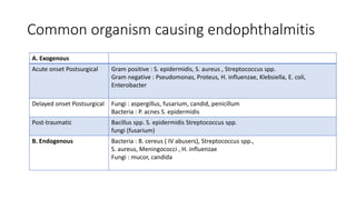 Common organism causing endophthalmitis
A. Exogenous
Acute onset Postsurgical Gram positive : S. epidermidis, S. aureus , Streptococcus spp.
Gram negative : Pseudomonas, Proteus, H. influenzae, Klebsiella, E. coli,
Enterobacter
Delayed onset Postsurgical Fungi : aspergillus, fusarium, candid, penicillum
Bacteria : P. acnes S. epidermidis
Post-traumatic Bacillus spp. S. epidermidis Streptococcus spp.
fungi (fusarium)
B. Endogenous Bacteria : B. cereus ( IV abusers), Streptococcus spp.,
S. aureus, Meningococci , H. influenzae
Fungi : mucor, candida
 