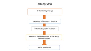 Bacterial entry into eye
Cascade of inflammatory products
Inflammatory cell recruitment
Tissue destruction
Release of digestive enzymes by the cells&
toxins by bacteria
PATHOGENESIS
 