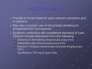 POST TRAUMATIC
 Parallel to those listed for post cataract extraction,and
in addition:
 May also consider use of intravitreal clindamycin
phosphate(450 micrograms)
 Systemic antibiotics still considered standard of care.
Options include selections from the following:
Clindamycin 600-900mg intravenously every 8 hrs
Ceftazidime 2gm intravenously every 8 hrs
Amikacin 7.5mg/kg intravenously once,then 6mg/kg every
12hrs
Ciprofloxacin 750 mg po twice daily
 