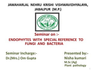 JAWAHARLAL NEHRU KRISHI VISHWAVIDHYALAYA,
JABALPUR (M.P.)
Seminar on :-
ENDOPHYTES WITH SPECIAL REFERENCE TO
FUNGI AND BACTERIA
Seminar Incharge:- Presented by:-
Dr.(Mrs.) Om Gupta Nisha kumari
M.Sc (Ag)
Plant pathology
1
 