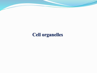 Cell organelles
 