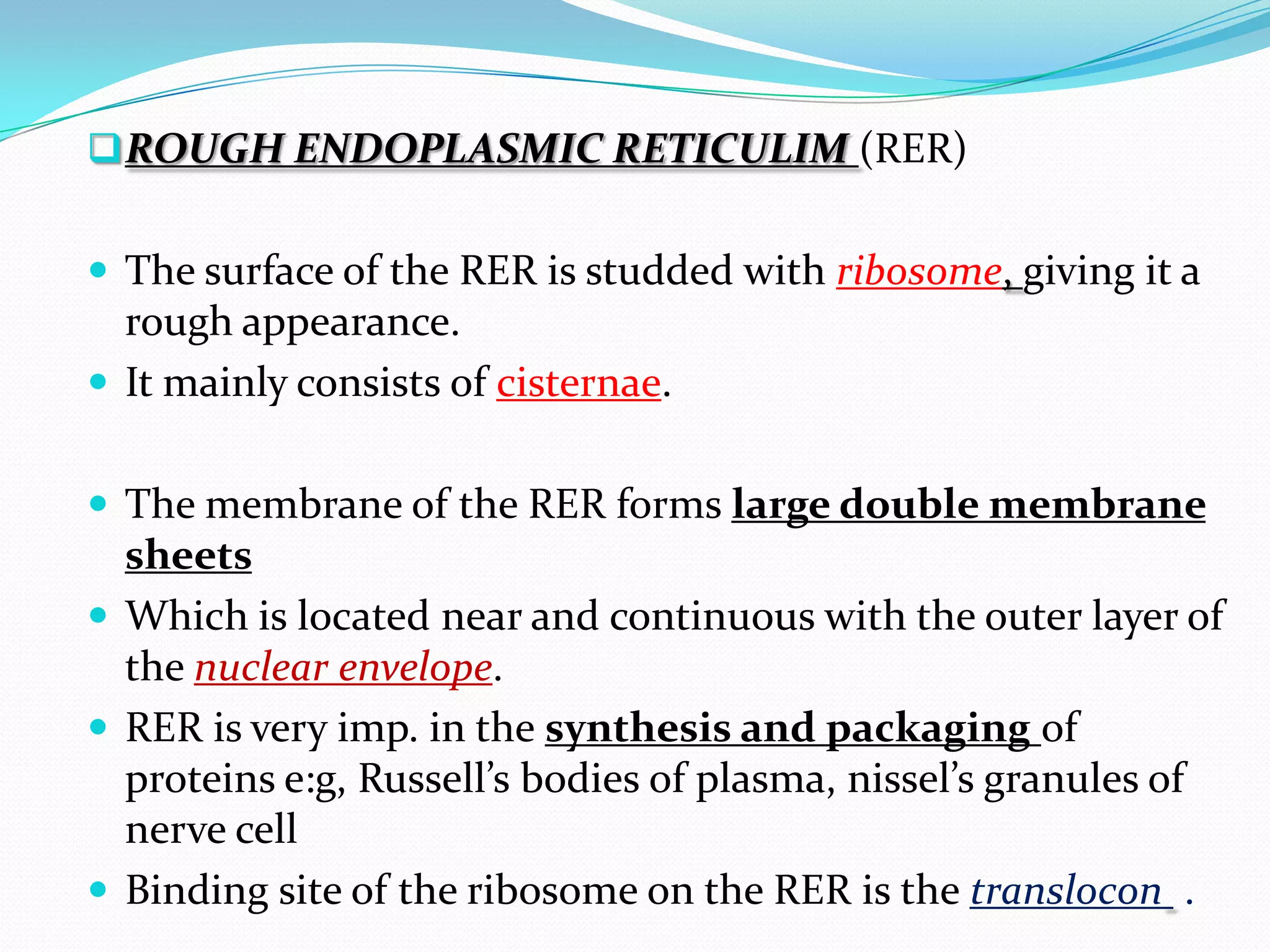 Structure Of The Rer Endoplasmic reticulum | PPTX