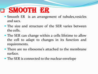 

Smooth ER

 Smooth ER is an arrangement of tubules,vesicles








and sacs.
The size and structure of the SER varies between
the cells.
The SER can change within a cells lifetime to allow
the cell to adapt to changes in its function and
requirements.
There are no ribosome’s attached to the membrane
surface.
The SER is connected to the nuclear envelope

 