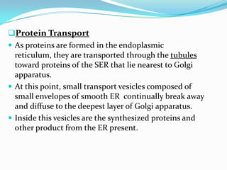 Protein Transport
 As proteins are formed in the endoplasmic
reticulum, they are transported through the tubules
toward proteins of the SER that lie nearest to Golgi
apparatus.
 At this point, small transport vesicles composed of
small envelopes of smooth ER continually break away
and diffuse to the deepest layer of Golgi apparatus.
 Inside this vesicles are the synthesized proteins and
other product from the ER present.

 