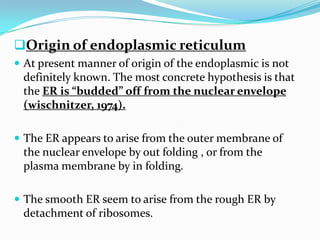 Origin of endoplasmic reticulum
 At present manner of origin of the endoplasmic is not

definitely known. The most concrete hypothesis is that
the ER is “budded” off from the nuclear envelope
(wischnitzer, 1974).
 The ER appears to arise from the outer membrane of

the nuclear envelope by out folding , or from the
plasma membrane by in folding.
 The smooth ER seem to arise from the rough ER by

detachment of ribosomes.

 