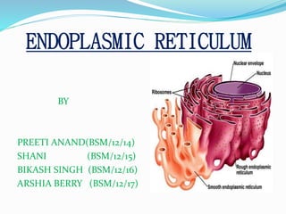 ENDOPLASMIC RETICULUM
BY

PREETI ANAND(BSM/12/14)
SHANI
(BSM/12/15)
BIKASH SINGH (BSM/12/16)
ARSHIA BERRY (BSM/12/17)

 