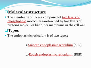 Molecular structure
 The membrane of ER are composed of two layers of

phospholipid molecules sandwiched by two layers of
proteins molecules like other membrane in the cell wall.

Types
 The endoplasmic reticulum is of two types:

1-Smooth endoplasmic reticulum (SER)
2-Rough endoplasmic reticulum (RER)

 