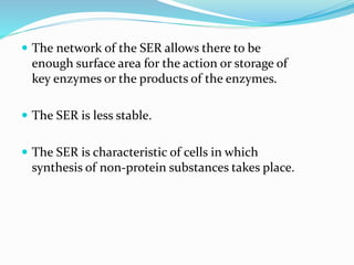  The network of the SER allows there to be

enough surface area for the action or storage of
key enzymes or the products of the enzymes.
 The SER is less stable.
 The SER is characteristic of cells in which

synthesis of non-protein substances takes place.

 