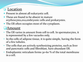  Location
 Present in almost all eukaryotic cell.
 These are found to be absent in mature

erythrocytes,ova,embryonic cells and prokaryotes.
 The ER often occupies most of the cytoplasm.

Amount
• The ER varies in amount from cell to cell. In spermatocytes, it

is represented by a few vacuoles only.
• In the cells of adipose tissue, it is quite simple, having the form
of a few tubules.
• The cells that are actively synthesizing proteins, such as liver
and pancreatic cells and fibroblast, have abundant ER.
• Endoplasmic reticulum forms 30-60 % of the total membrane
in a cell.

 