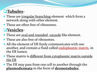 Tubules These are irregular branching element which form a

network along with other element.
 These are often free of ribosomes.

Vesicles These are oval and rounded ,vacuole like element.
 These are also free of ribosomes.
 All the element of ER freely communicates with one

another, and contain a fluid called endoplasmic matrix, in
the ER lumen.
 These matrix is different from cytoplasmic matrix outside
the ER
 The ER may pass from one cell to another through the
plasmodesmata in the form of desmotubules.

 
