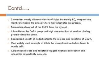 Contd….
 Synthesizes nearly all major classes of lipids but mainly PC, enzymes are
membrane facing the cytosol where their substrates are present.
 Sequesters almost all of the Ca2+ from the cytosol.
 It is achieved by Ca2+ pump and high concentrations of calcium binding
protein within the lumen.
 Specialized smooth ER is dedicated to the release and reuptake of Ca2+.
 Most widely used example of this is the sarcoplasmic reticulum, found in
muscle cells.
 Calcium ion release and reuptake triggers myofibril contraction and
relaxation respectively in muscle.
 