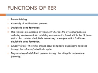 FUNCTIONS OF RER
 Protein folding
 Assembly of multi-subunit proteins
 Disulphide bond formation
 This requires an oxidising environment whereas the cytosol provides a
reducing environment. An oxidising environment is found within the ER lumen
which also contains disulphide isomerase, an enzyme which facilitates
disulphide bond formation.
 Glycosylation – the initial stages occur on specific asparagine residues
through the calnexin/calreticulin cycle.
 Degradation of misfolded proteins through the ubiquitin proteasome
pathway.
 