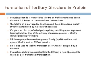 Formation of Tertiary Structure in Protein
 If a polypepetide is translocated into the ER from a membrane bound
ribosome it is known as co-translational translocation.
 The folding of a polypeptide into its correct three dimensional protein
structure is mediated by molecular chaperones.
 Chaperones bind to unfloded polypeptides, stabilising them to prevent
incorrect folding. One of the primary chaperone proteins is binding
immunoglobulin protein(BiP).
 BiP belongs to a heat sensitive protein family (hsp70) and has both a
protein binding and an ATPase domain.
 BiP is also used to seal the translocon pore when not occupied by a
ribosome.
 If a polypeptide is incorporated into the ER from a free ribosome it is
known as post-tranlational translocation.
 