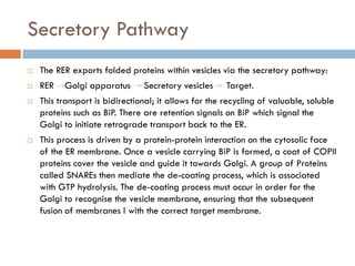Secretory Pathway
 The RER exports folded proteins within vesicles via the secretory pathway:
 RER Golgi apparatus Secretory vesicles Target.
 This transport is bidirectional; it allows for the recycling of valuable, soluble
proteins such as BiP. There are retention signals on BiP which signal the
Golgi to initiate retrograde transport back to the ER.
 This process is driven by a protein-protein interaction on the cytosolic face
of the ER membrane. Once a vesicle carrying BiP is formed, a coat of COPII
proteins cover the vesicle and guide it towards Golgi. A group of Proteins
called SNAREs then mediate the de-coating process, which is associated
with GTP hydrolysis. The de-coating process must occur in order for the
Golgi to recognise the vesicle membrane, ensuring that the subsequent
fusion of membranes I with the correct target membrane.
 