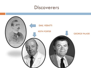 Discoverers
EMIL VERATTI
KEITH PORTER
GEORGE PALADE
 