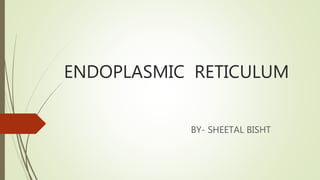 ENDOPLASMIC RETICULUM
BY- SHEETAL BISHT
 