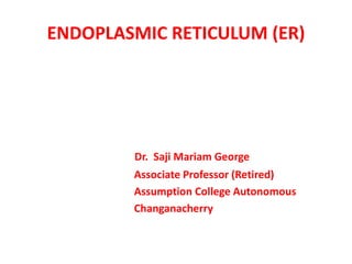 ENDOPLASMIC RETICULUM (ER)
Dr. Saji Mariam George
Associate Professor (Retired)
Assumption College Autonomous
Changanacherry
 