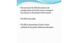 Endoplasmic reticulum