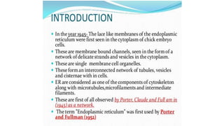 Endoplasmic reticulum