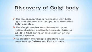 Endoplasmic reticulum