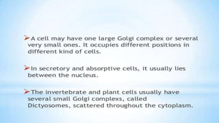 Endoplasmic reticulum